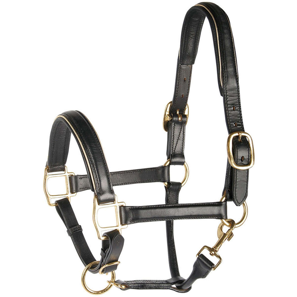 Harry's Horse Licol Cuir avec Passepoil Or
