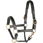 Harry's Horse Licol Cuir avec Passepoil Or