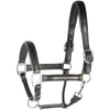 Harry's Horse Licol Cuir avec Passepoil Argent