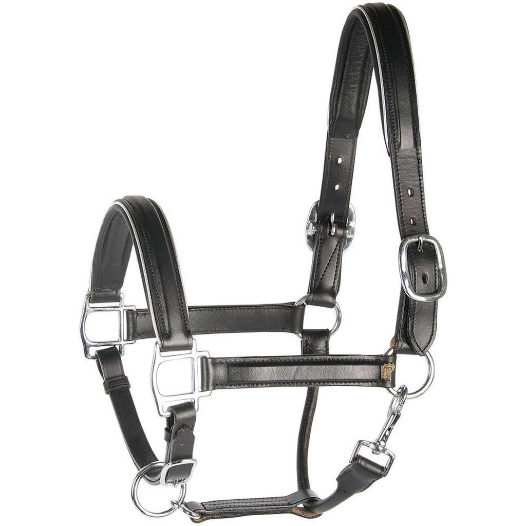 Harry's Horse Licol Cuir avec Passepoil Argent