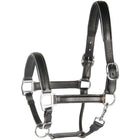 Harry's Horse Licol Cuir avec Passepoil Argent