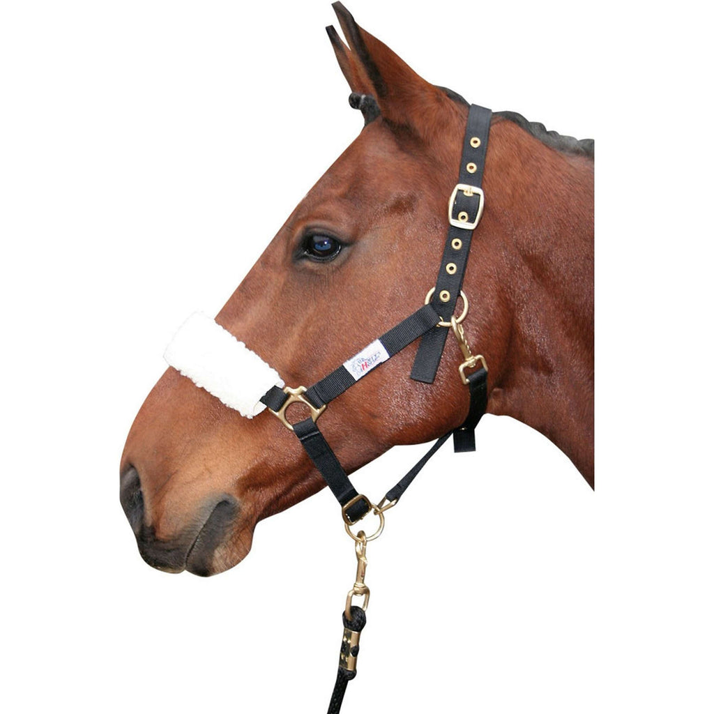 Harry's Horse Fourreau Muserolle Synthétique Beige