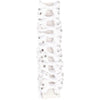 Harry's Horse Petits Nœuds de Concours Cristal blanc
