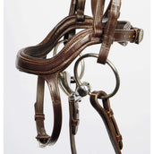 Harry's Horse Bride Anatomic Marron