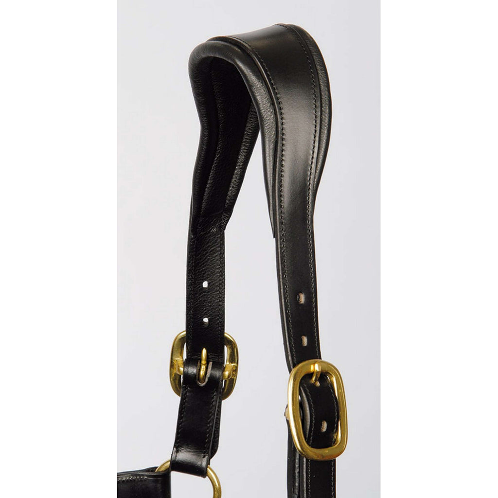 Harry's Horse Licol Cuir Anatomique Noir