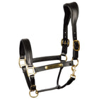Harry's Horse Licol Cuir Anatomique Noir