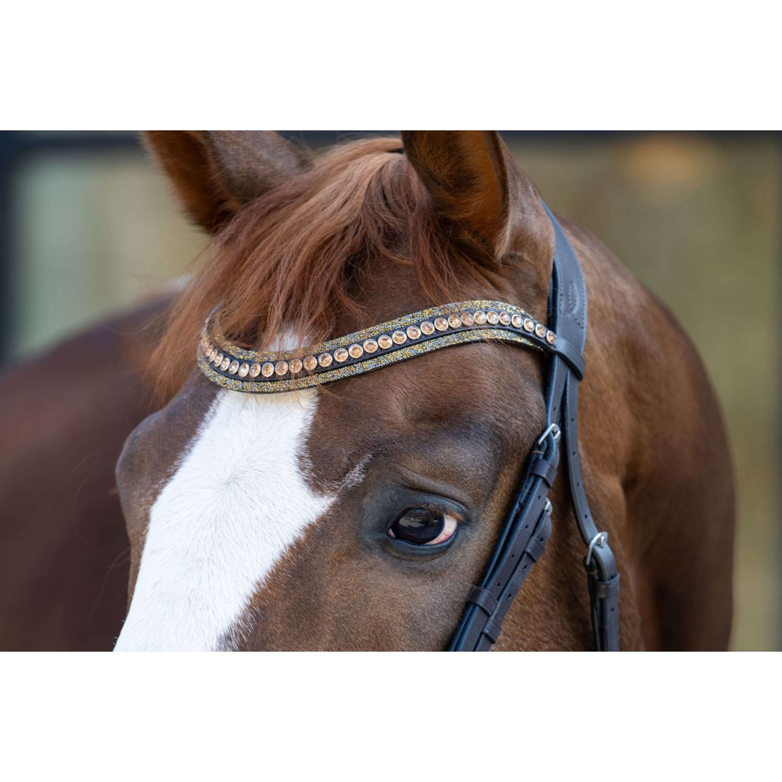 HB Bride Showtime It is So Special Marron//Golden Glitter