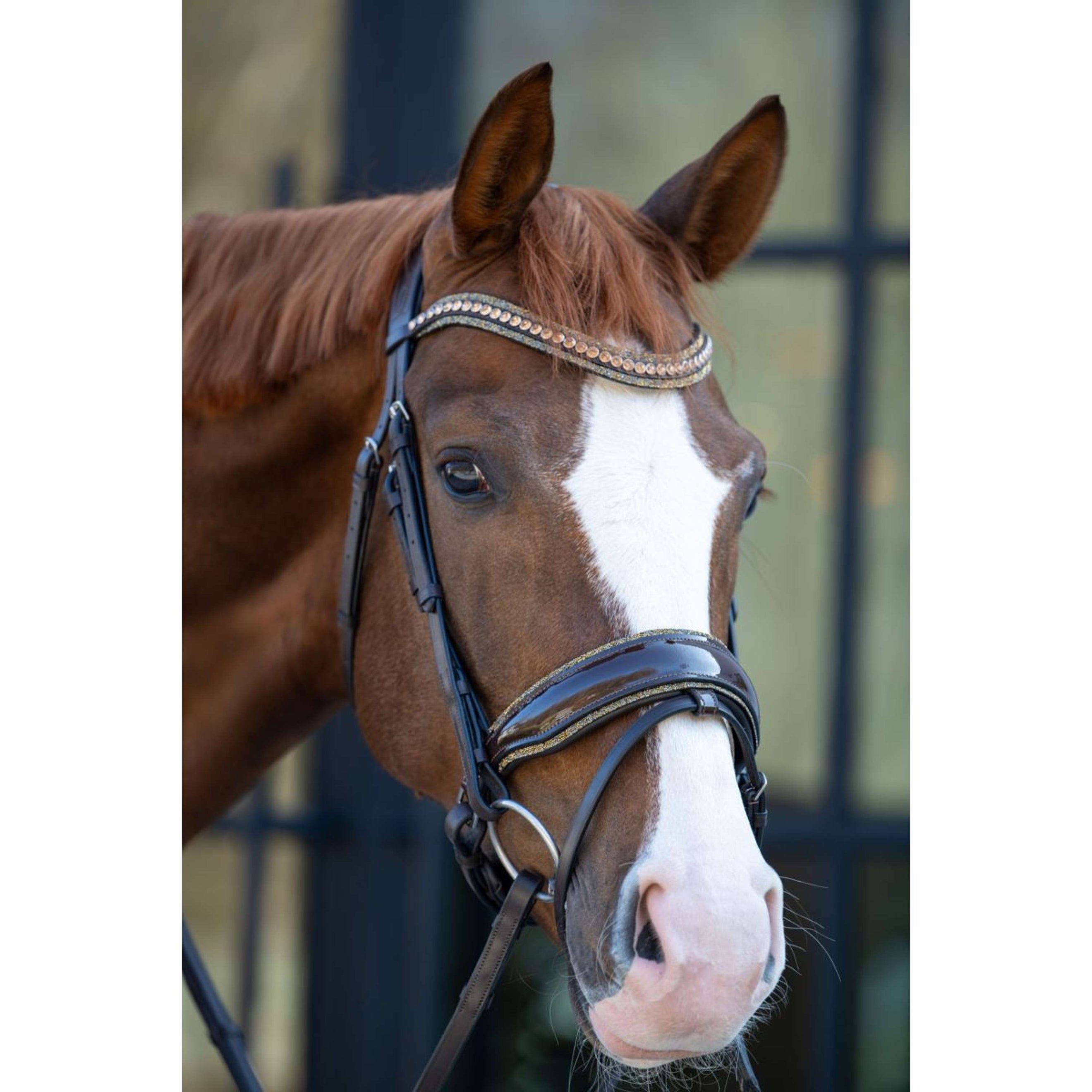 HB Bride Showtime It is So Special Marron//Golden Glitter