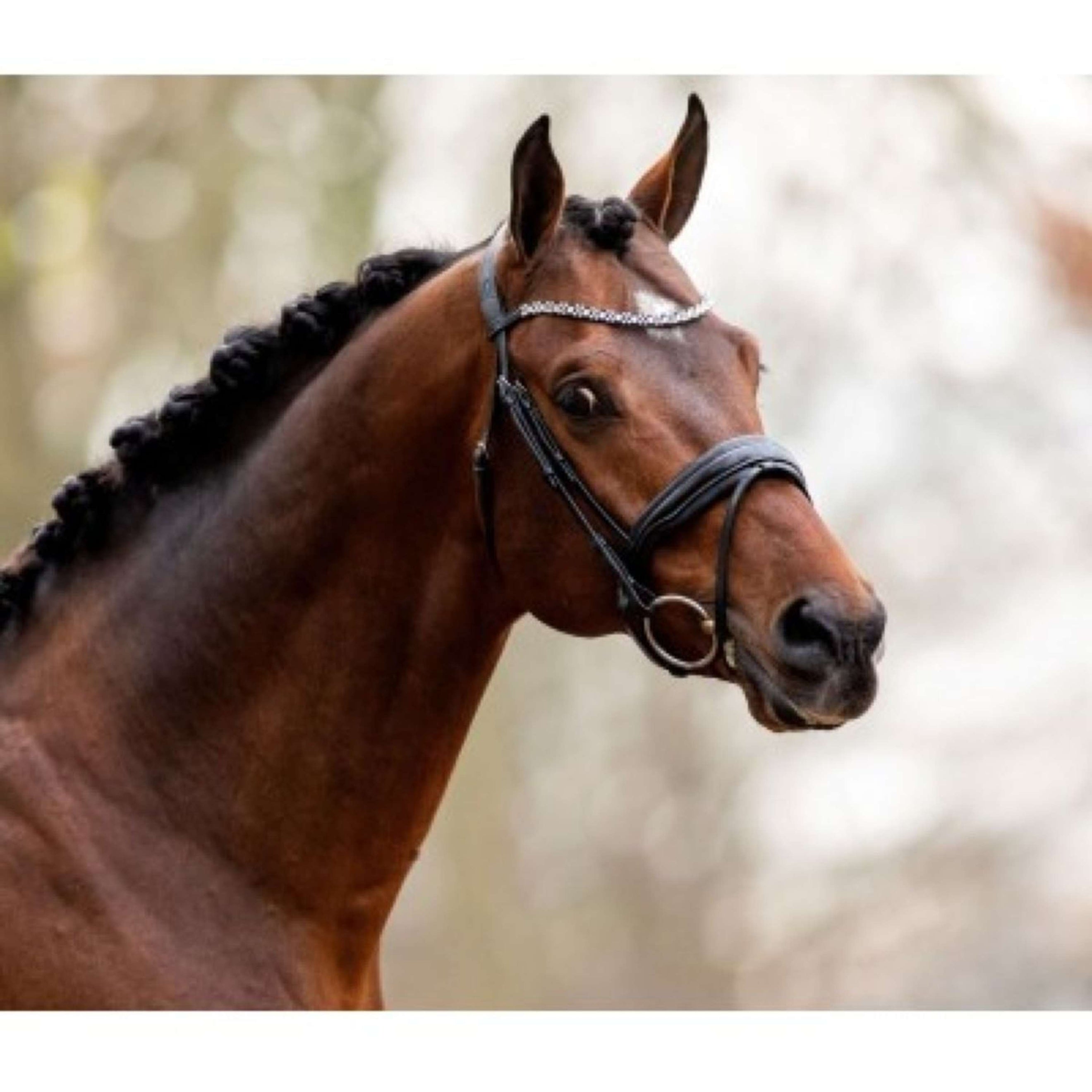 HB Bride Great Love Noir HB Bride Great Love Noir