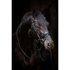 HB Bridon Showtime Evalira Bleu/Noir