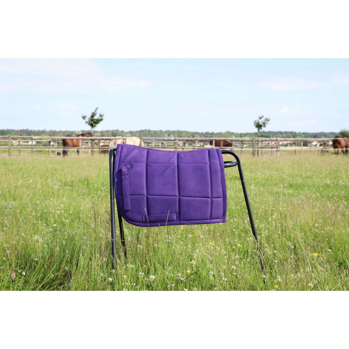 HB Tapis de Selle Shetland Violet