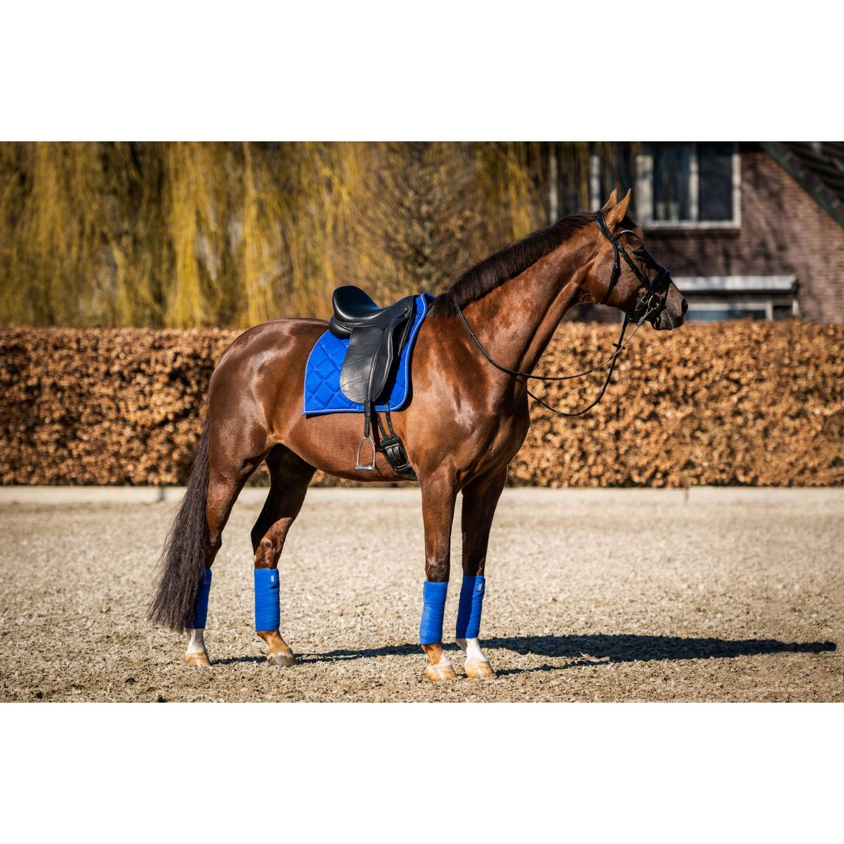 HB Tapis de Selle Crown Dressuur Bleu Royal