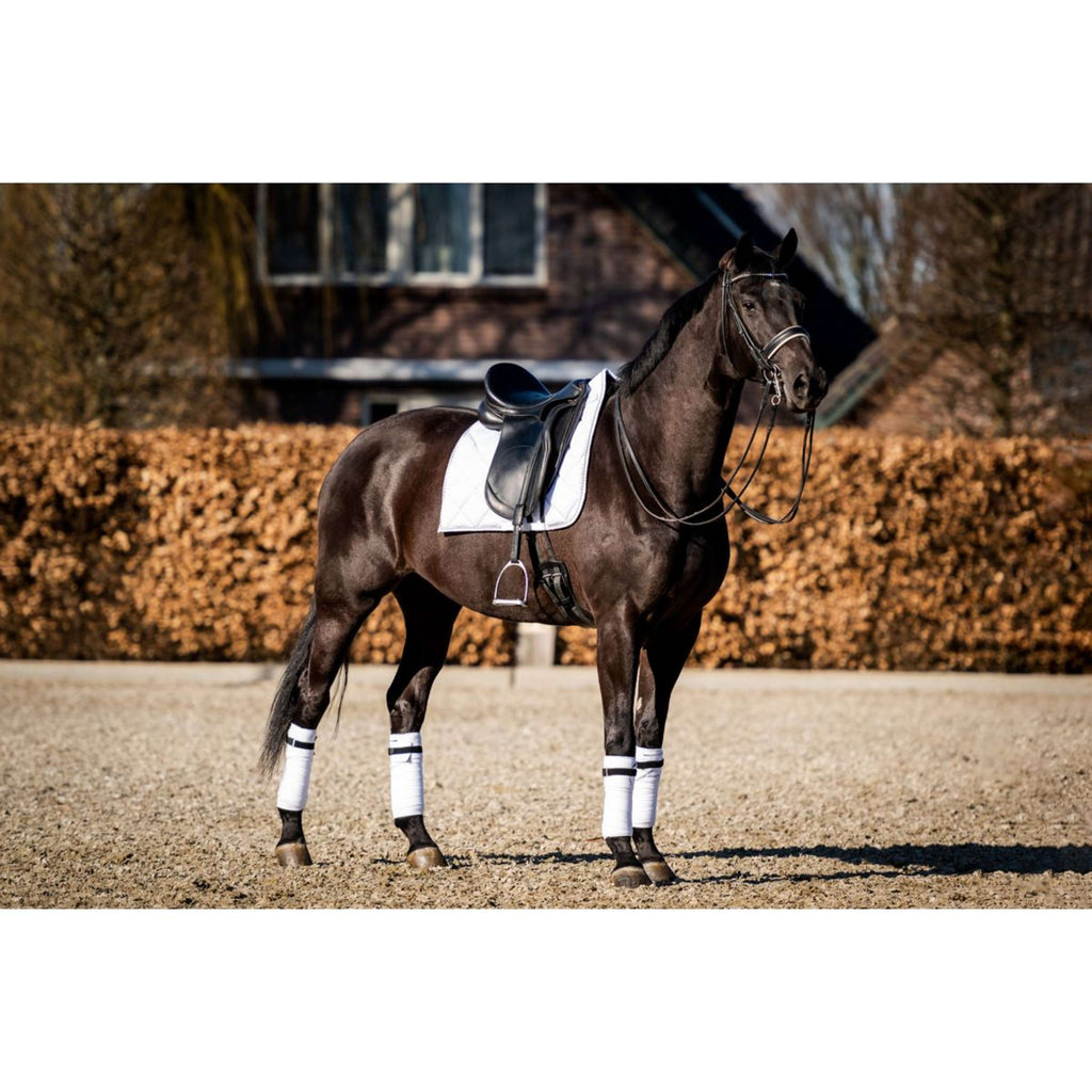 HB Tapis de Selle Crown Dressuur Blanc