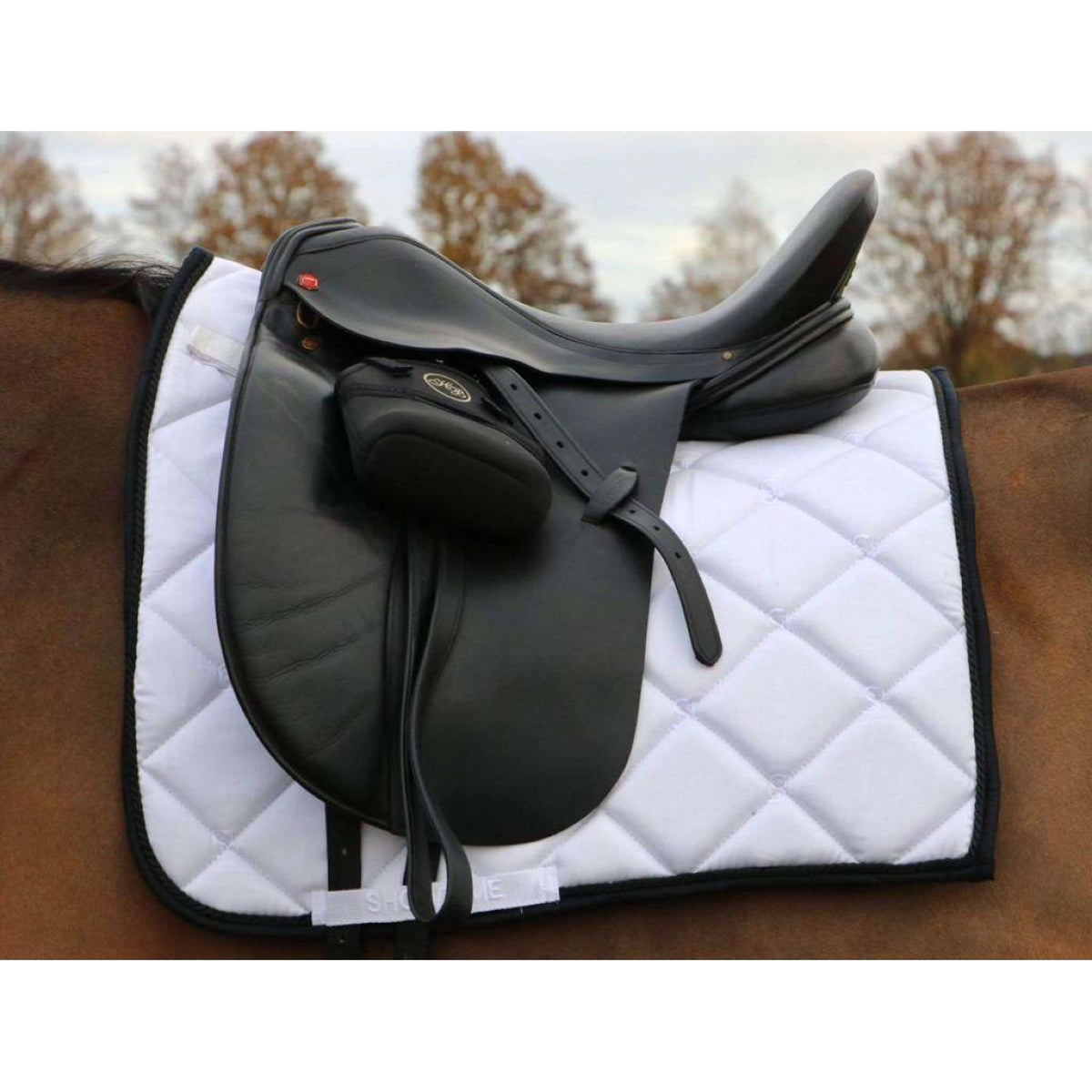 HB Tapis de Selle Showtime Dressage Blanc/Noir