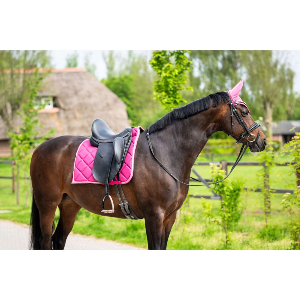 HB Tapis de Selle de Dressage Showtime Fuchsia