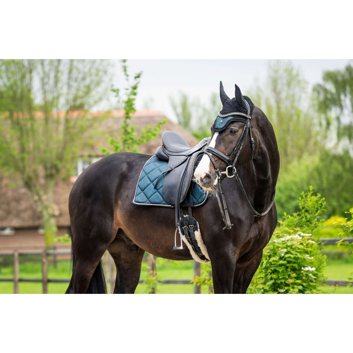 HB Tapis de Selle de Dressage Showtime Vert