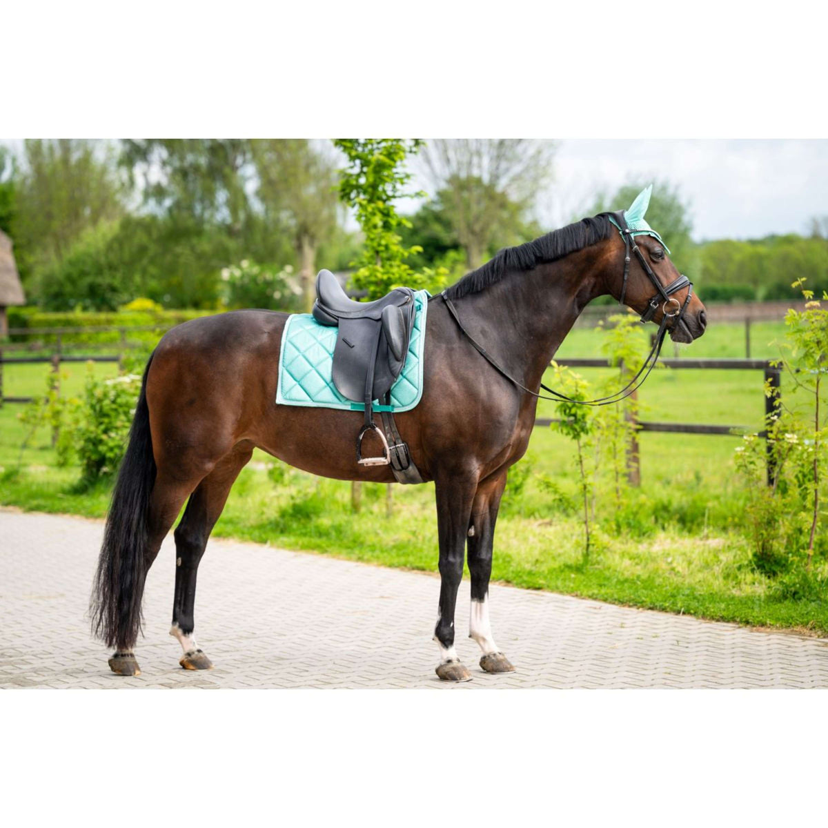 HB Tapis de Selle de Dressage Showtime Limette doux