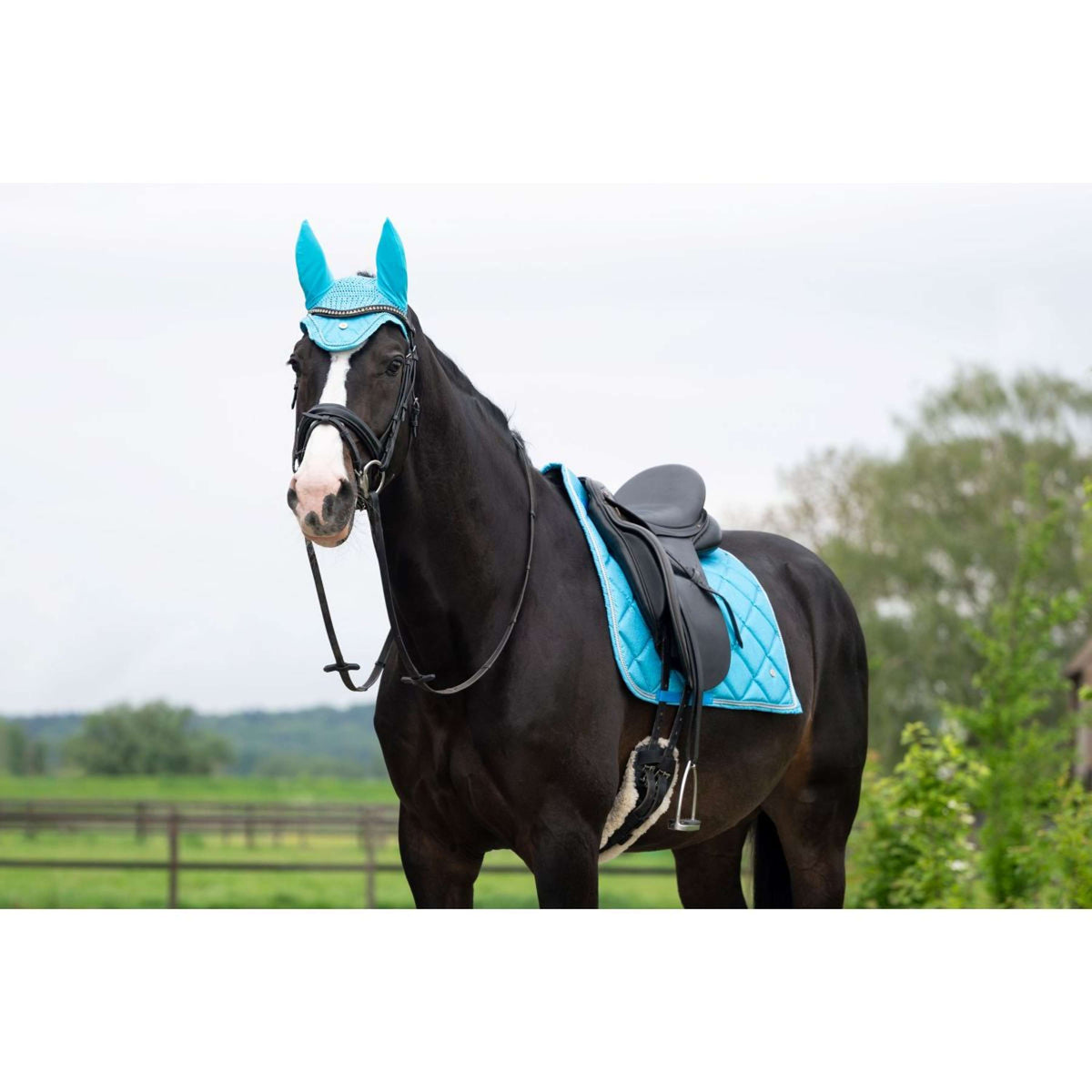 HB Tapis de Selle de Dressage Showtime Turquoise