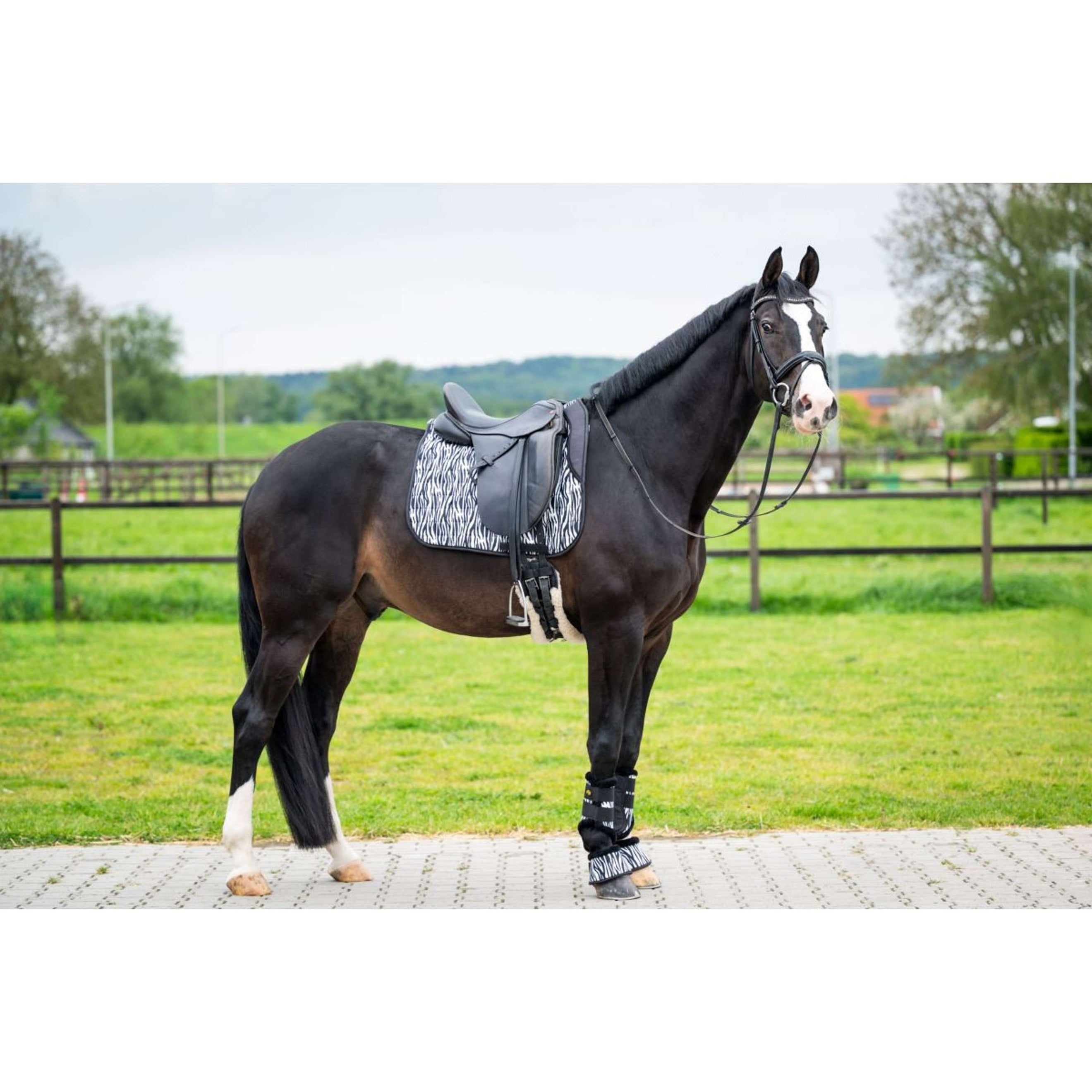 HB Tapis de Selle Zebra Dressage Noir/Blanc