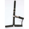 HB Licol Nylon Noir