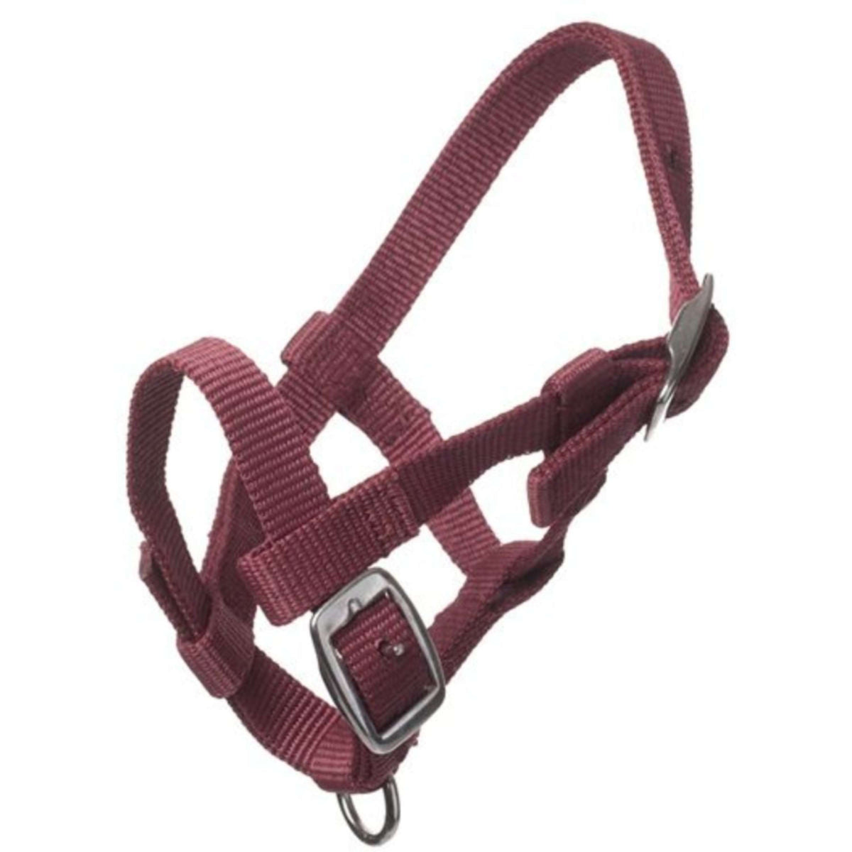 HB Ruitersport Licol Nylon Bordeaux