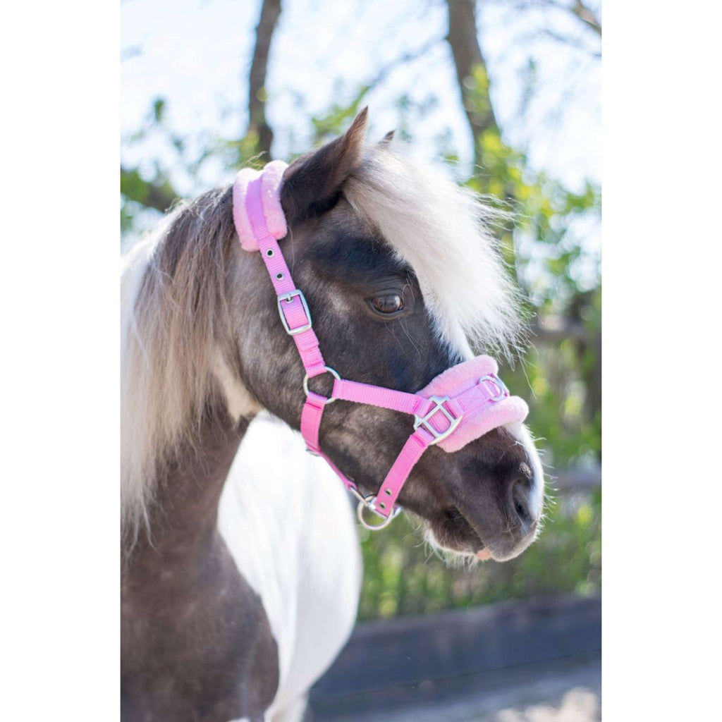 HB Licol Nylon Caveçon Rose
