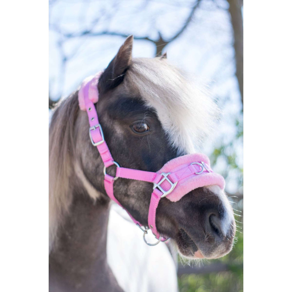 HB Licol Nylon Caveçon Rose