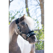 HB Licol Nylon Caveçon Noir