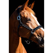 HB Showtime Licol Rivet Swarovski Cuir Noir/marine