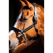 HB Showtime Licol Rivet Swarovski Cuir Noir