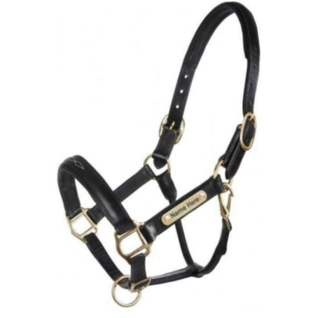 HB Licol Horse Name Cuir Noir