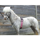 HB Surfaix de Longe Little Sizes Rose