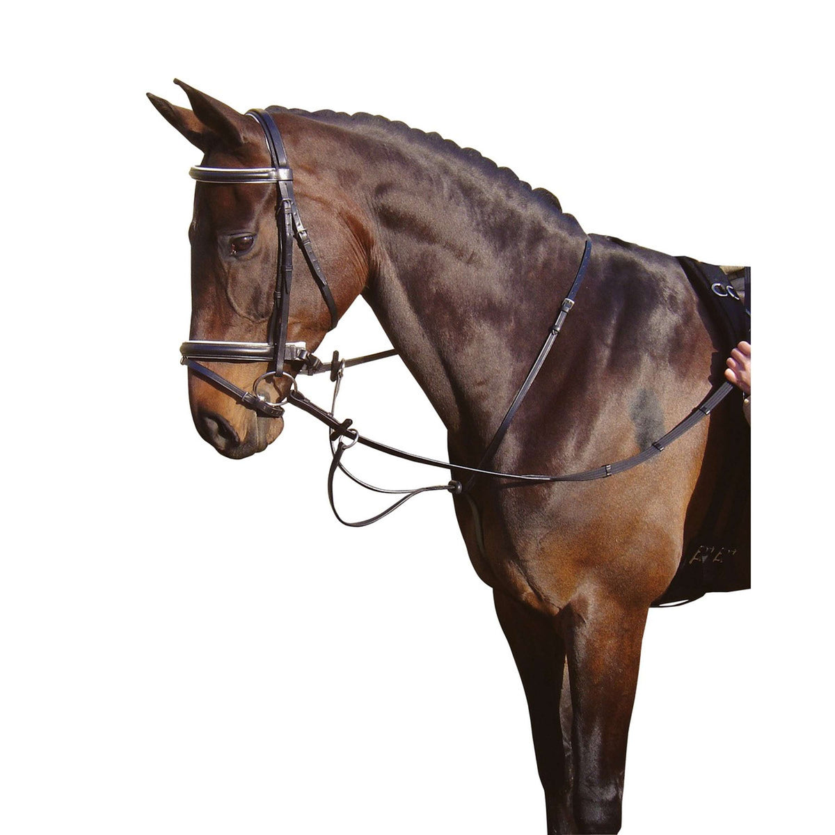 Harry's Horse Martingale Noir