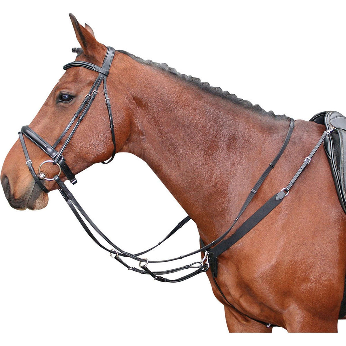 Harry's Horse Collier de Chasse Élastique Noir