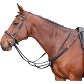 Harry's Horse Collier de Chasse Élastique Noir