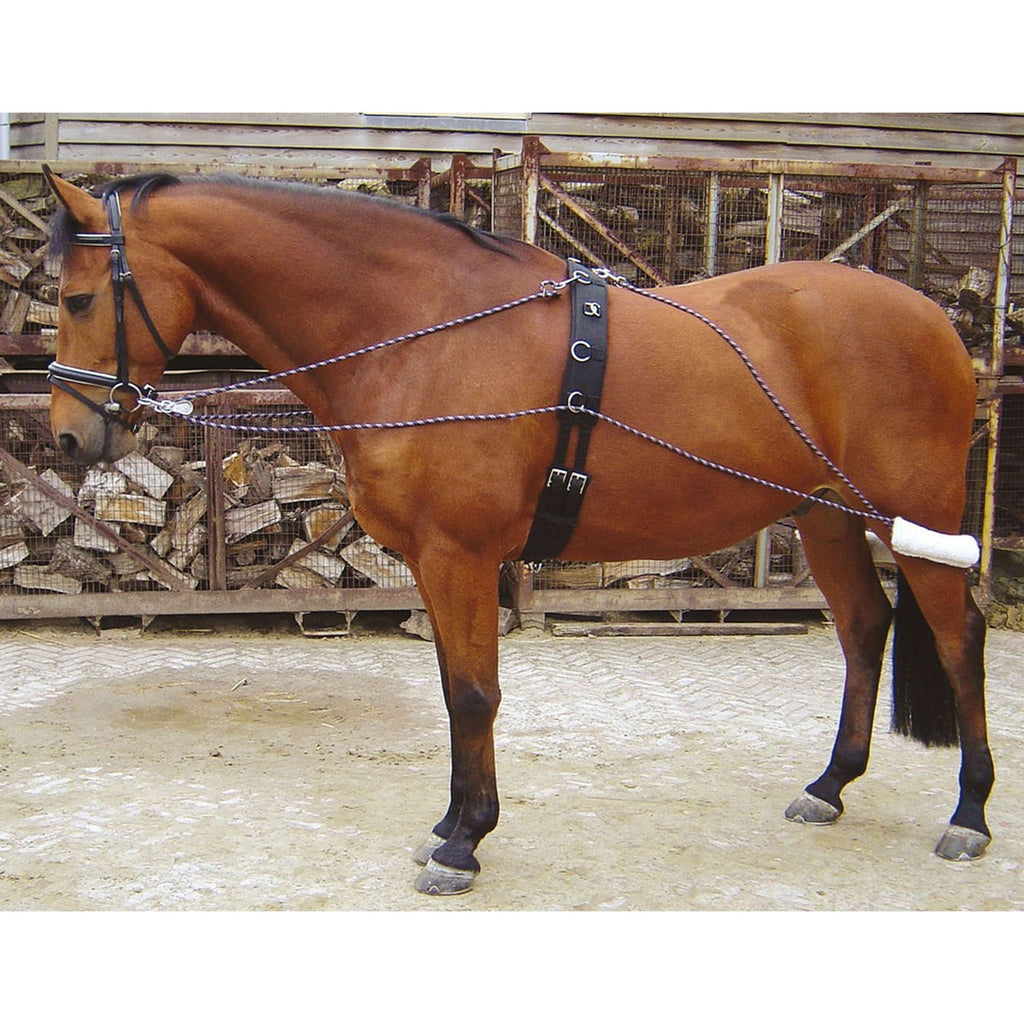 Harry's Horse Boucles pour Longe de Travail