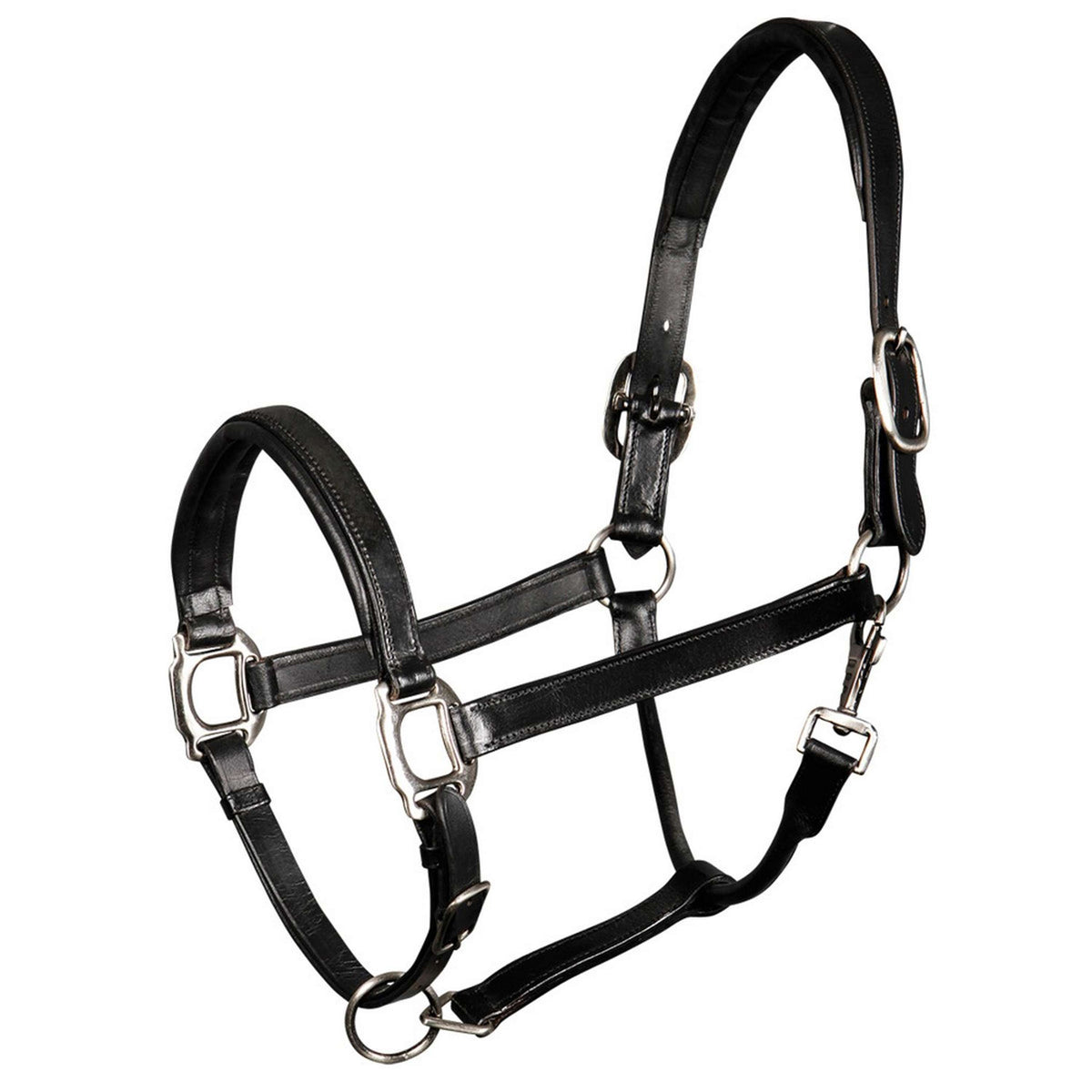 Harry's Horse Licol Padded Cuir Noir