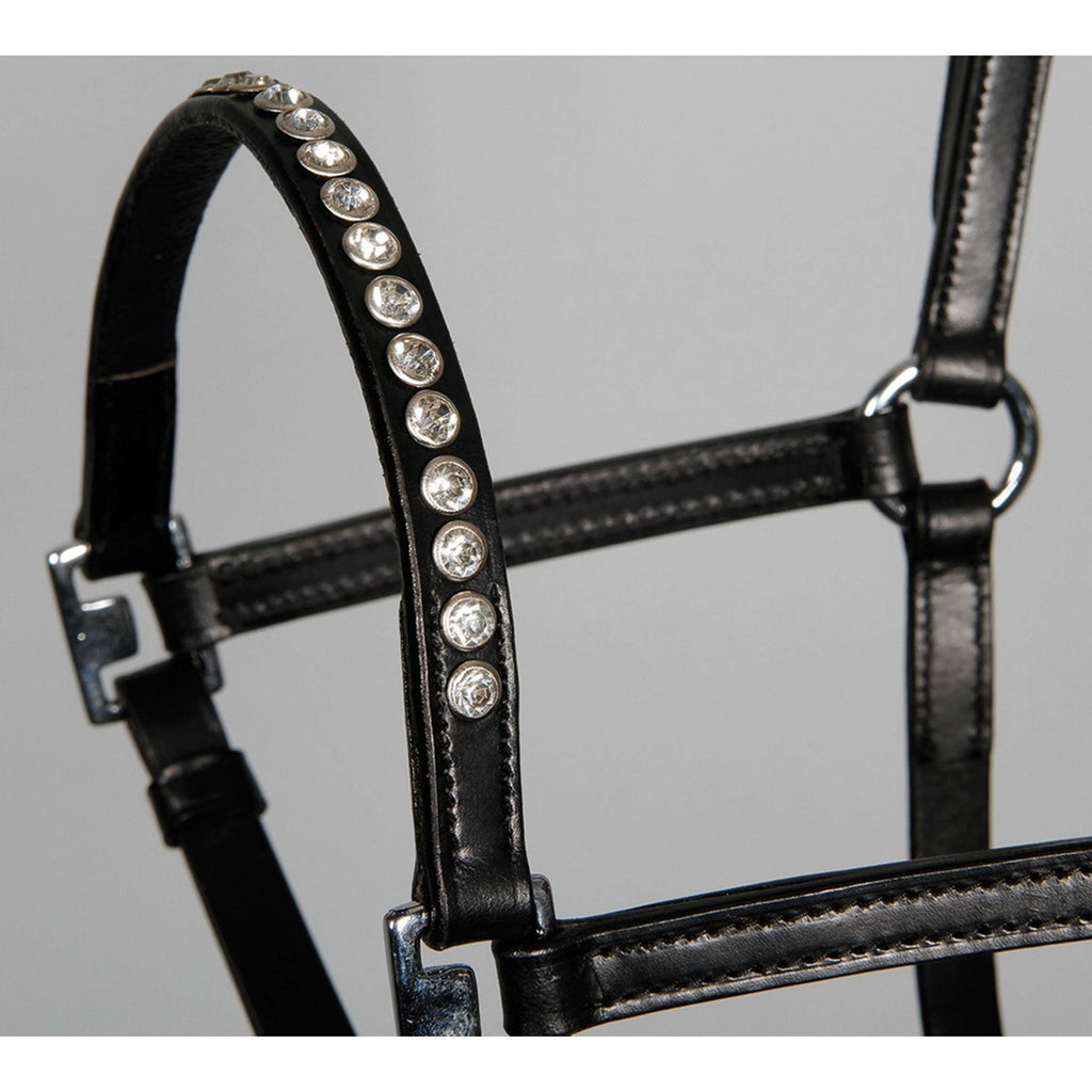 Harry's Horse Licol Crystal Noir/Argent