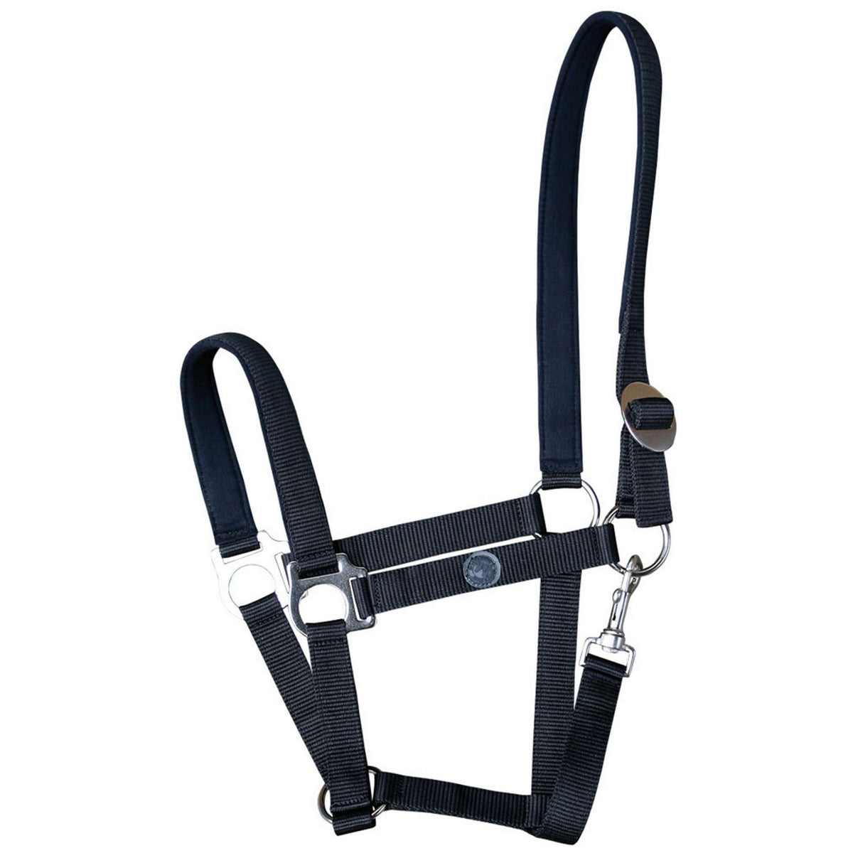 Harry's Horse Licol Padded Noir