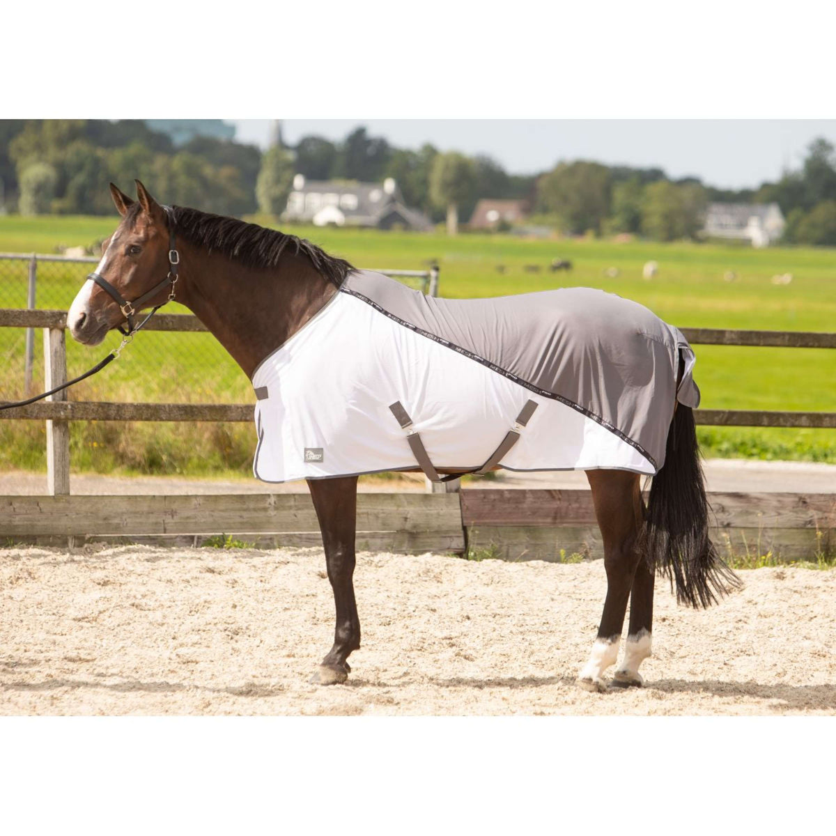 Harry's Horse Couverture Anti-Mouches Mesh-pro Gris