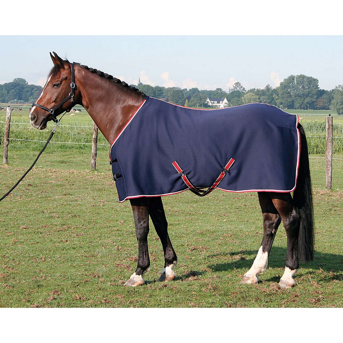 Harry's Horse Couverture Jersey Cooler Marin