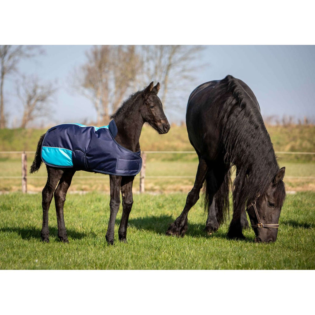Harry's Horse Couverture pour Poulain TwoTone Marin