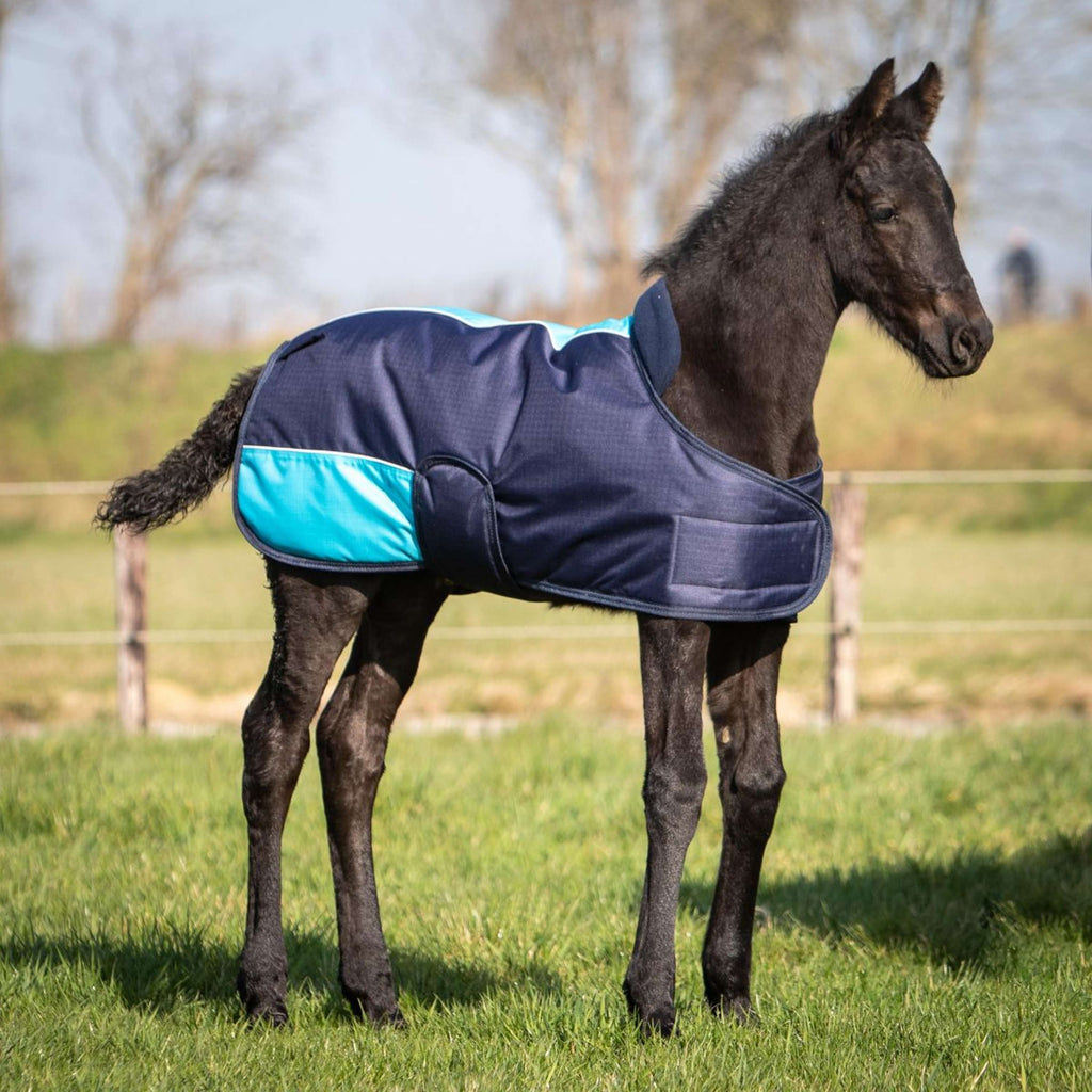 Harry's Horse Couverture pour Poulain TwoTone Marin