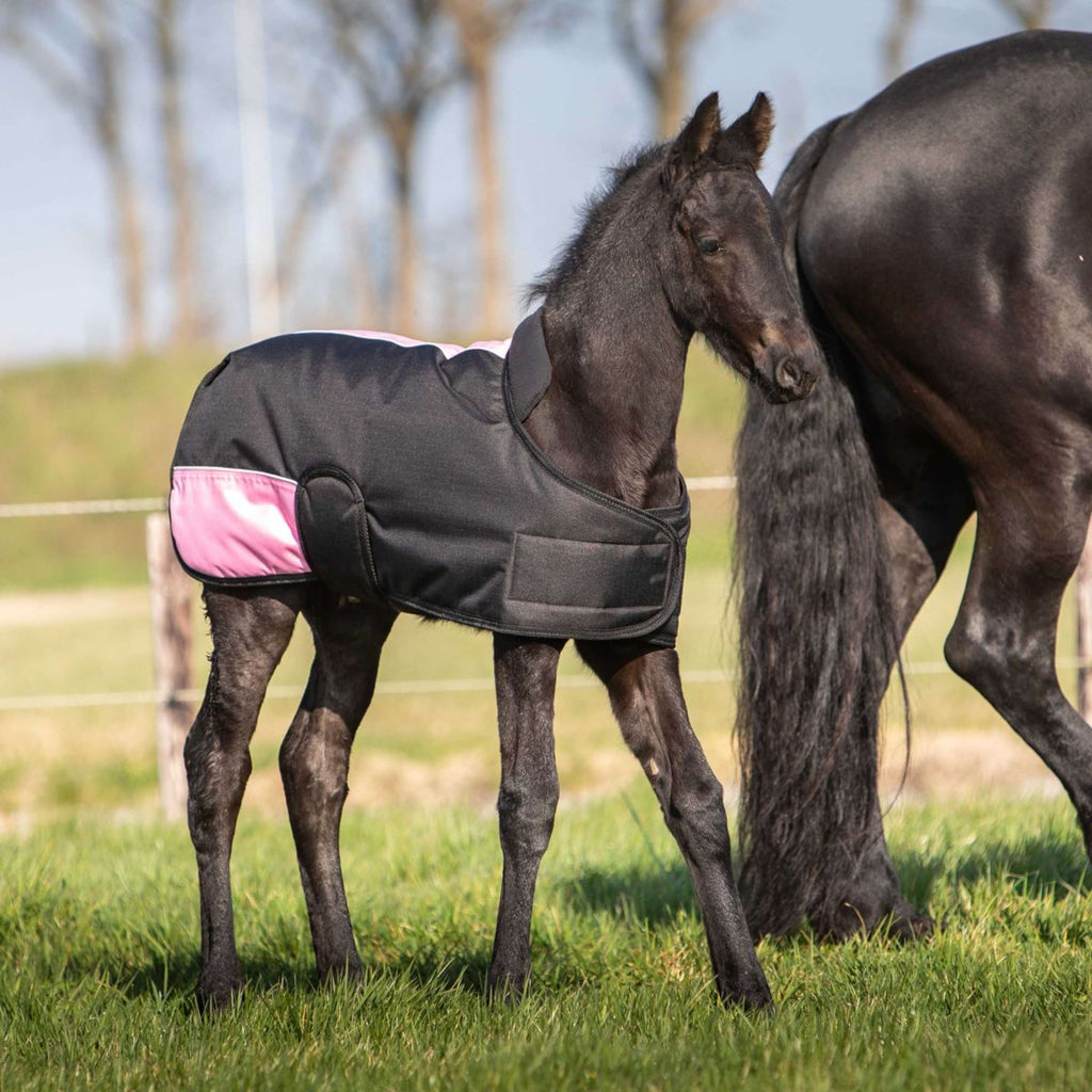Harry's Horse Couverture pour Poulain TwoTone Noir