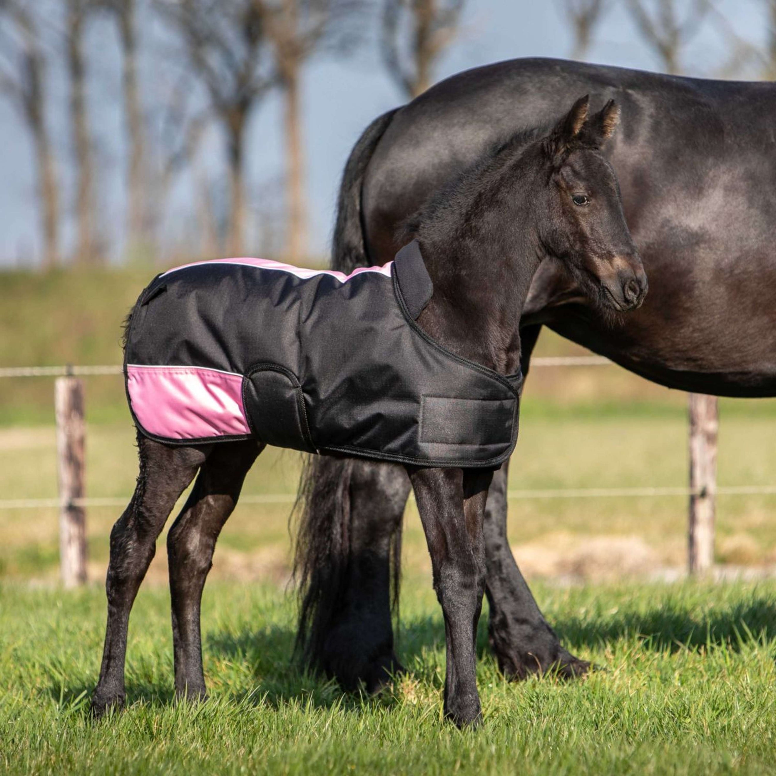 Harry's Horse Couverture pour Poulain TwoTone Noir