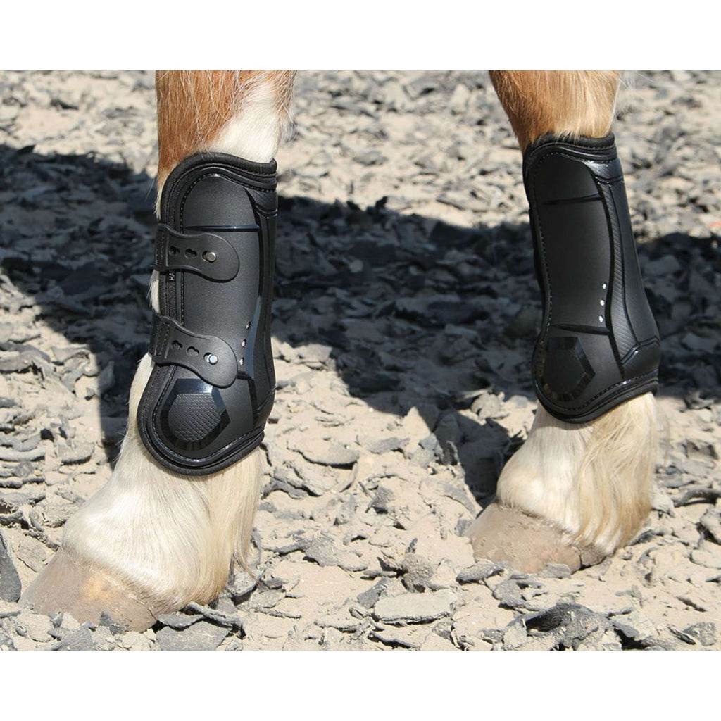 Harry's Horse Protèges-Tendons Percy Noir