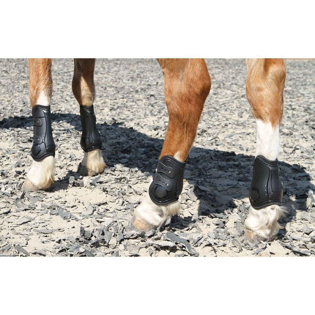 Harry's Horse Protèges-Tendons Percy Noir