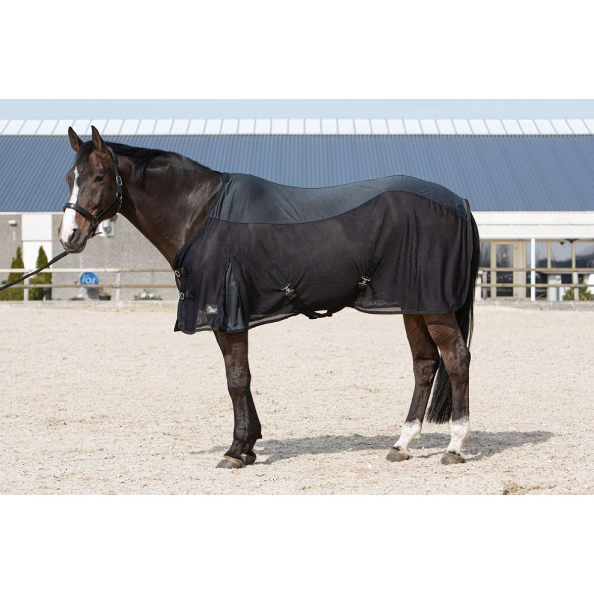 Harry's Horse Couverture Refroidissante Venti Noir