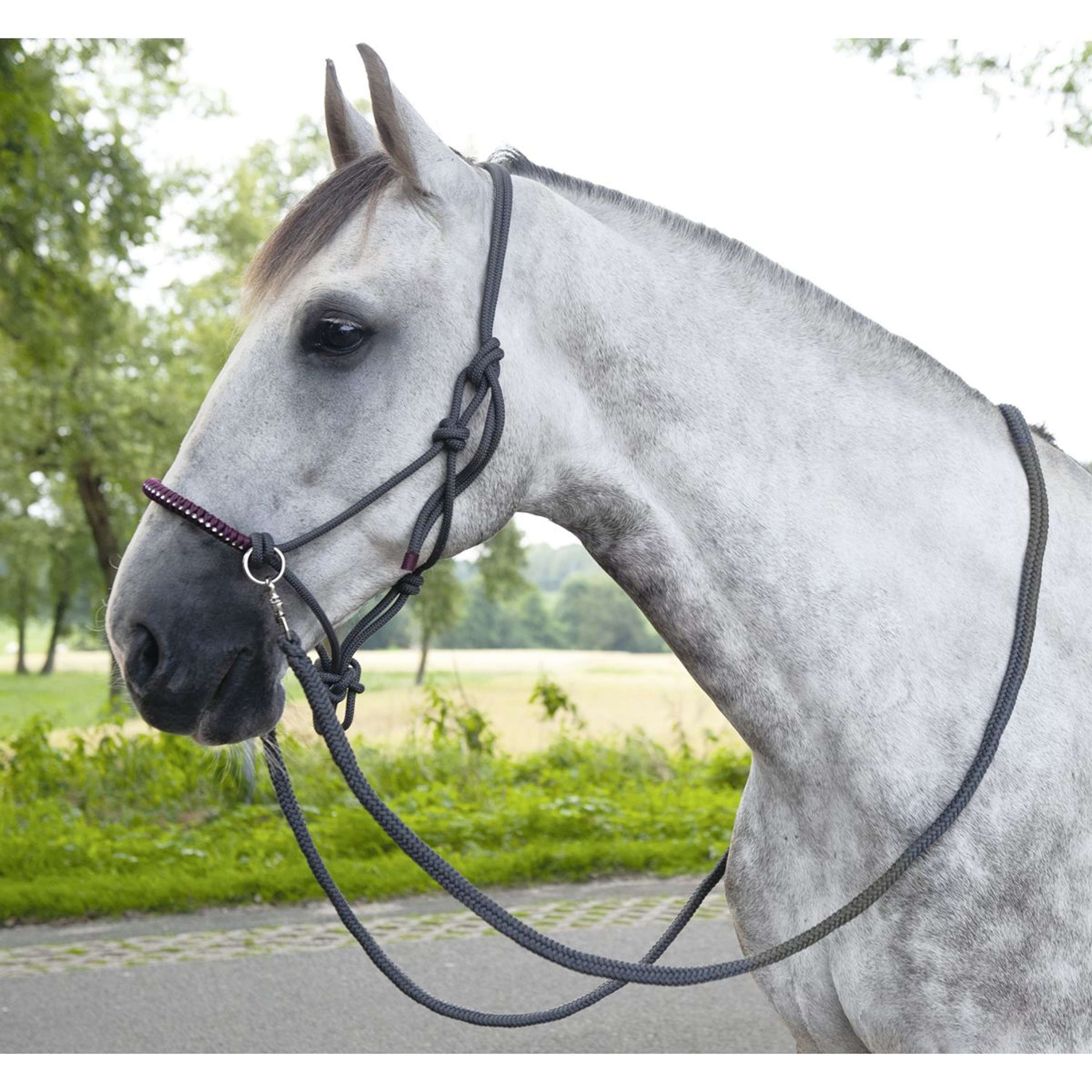 HKM Licol en Corde Deko avec Rêne Gris foncé/Vigne HKM Licol en Corde Deko avec Rêne Gris foncé/Vigne