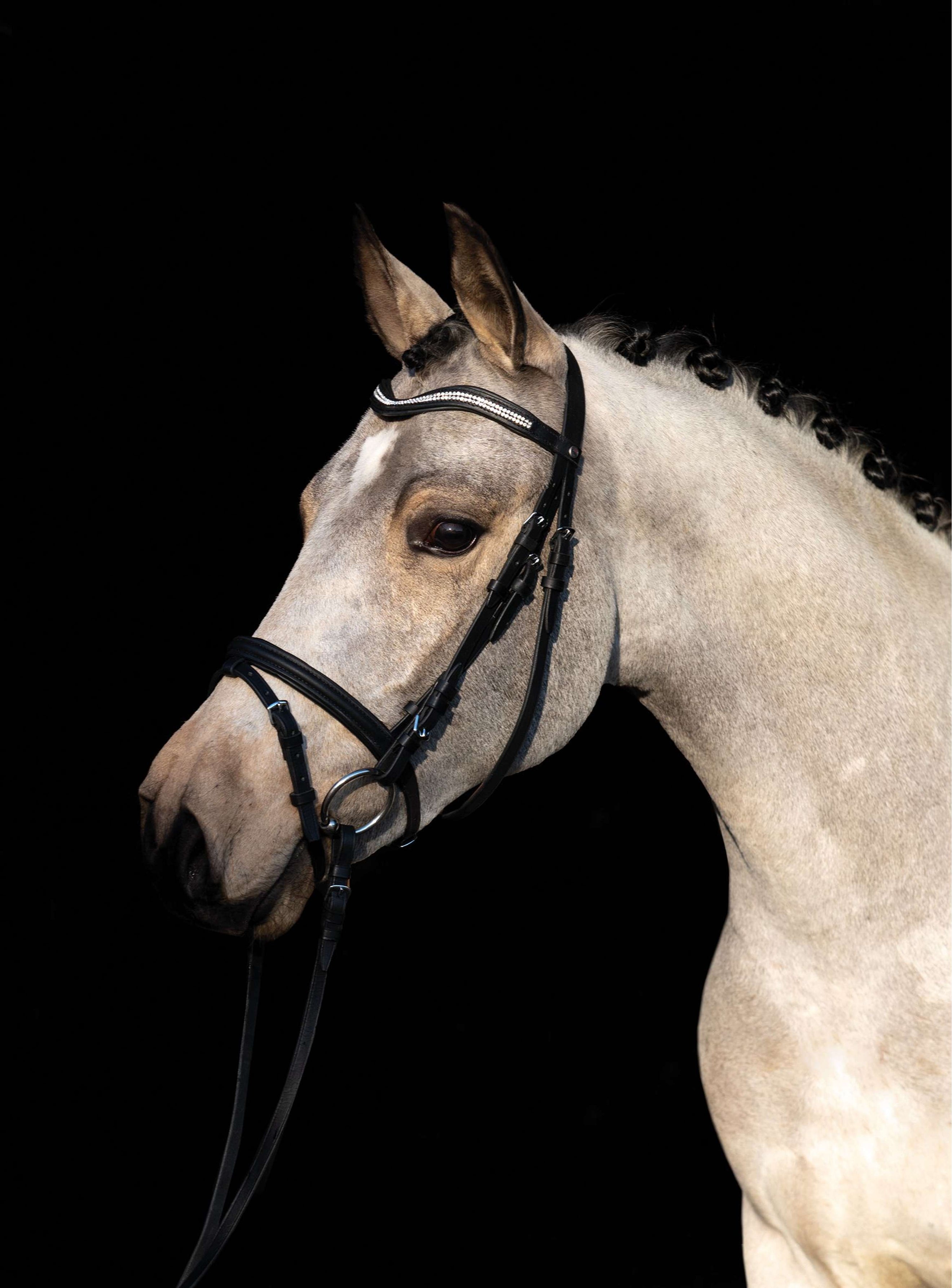 HKM Bride Little Star Noir HKM Bride Little Star Noir